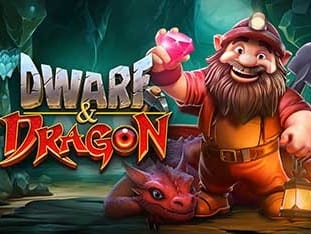 Dwarf & Dragon game icon
